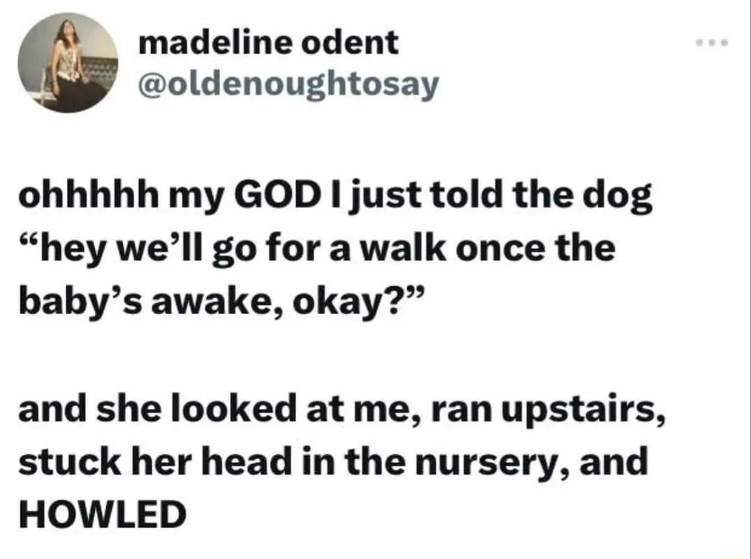 madeline odent oldenoughtosay ohhhhh my GOD just told the dog hey well go for a walk once the babys awake okay and she looked at me ran upstairs stuck her head in the nursery and HOWLED