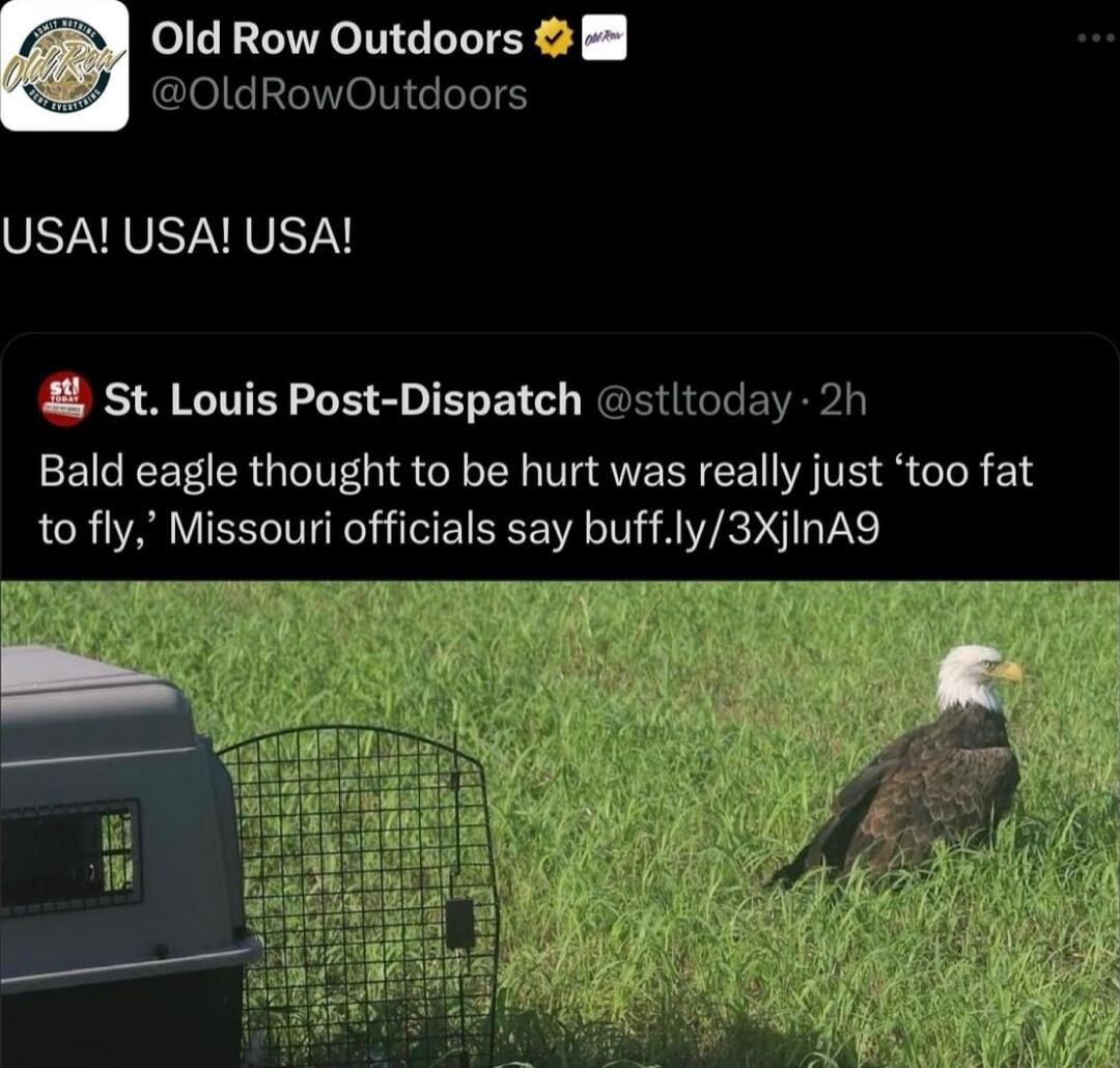 0Old Row Outdoors B i 0ldRowOutdoors USA USA USA St Louis Post Dispatch stltoday 2h Bald eagle thought to be hurt was really just too fat to fly Missouri officials say buffly3XjinA9