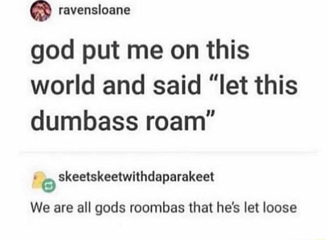 ravensloane god put me on this world and said let this dumbass roam b skeetskeetwithdaparakeet We are all gods roombas that hes let loose