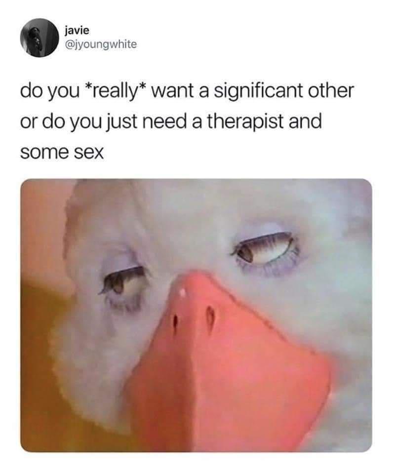 javie jyoungwhite do you really want a significant other or do you just need a therapist and some sex