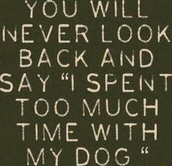YOU WILL NEVER LOOK BACK AND SAY 'I SPENT TOO MUCH TIME WITH MY DOG'