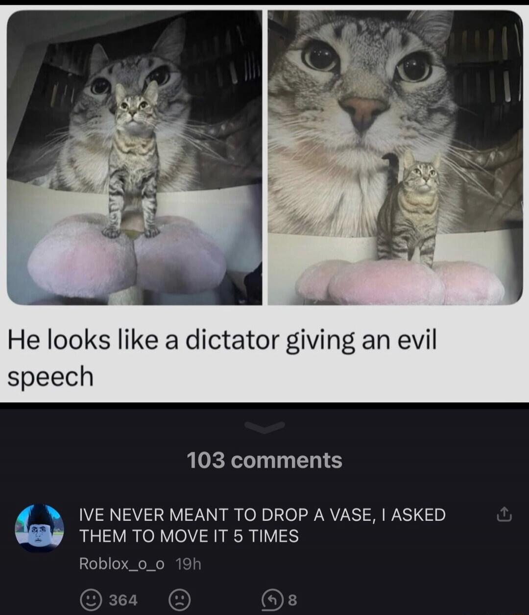 He looks like a dictator giving an evil speech 103 comments IVE NEVER MEANT TO DROP A VASE, I ASKED THEM TO MOVE IT 5 TIMES Roblox_o_o 19h 364 8