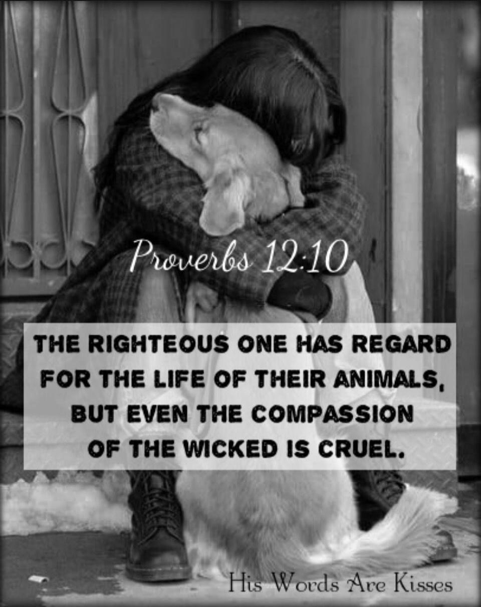 Proverbs 12:10 THE RIGHTEOUS ONE HAS REGARD FOR THE LIFE OF THEIR ANIMALS, BUT EVEN THE COMPASSION OF THE WICKED IS CRUEL. His Words Are Kisses