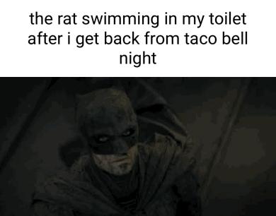 the rat swimming in my toilet after i get back from taco bell night