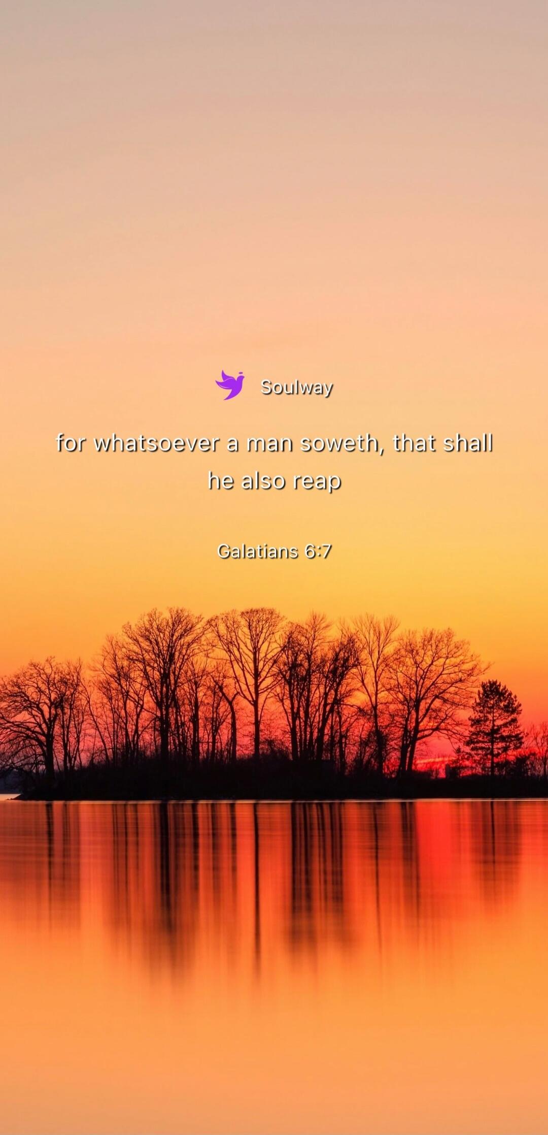 Soulway for whatsoever a man soweth, that shall he also reap Galatians 6:7