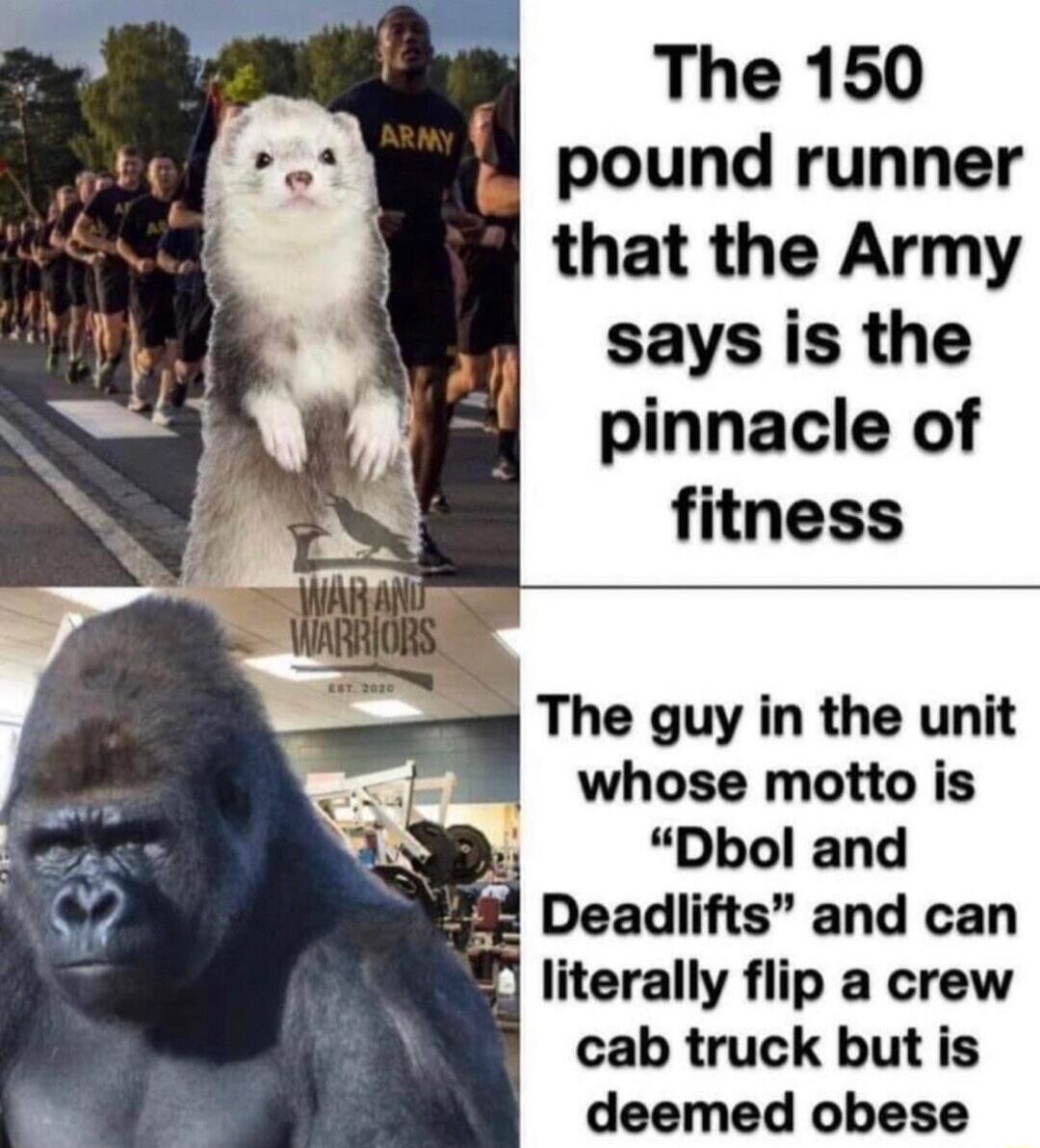 The 150 pound runner that the Army says is the g pinnacle of N fitness h The guy in the unit whose motto is Dbol and Deadlifts and can literally flip a crew cab truck but is deemed obese