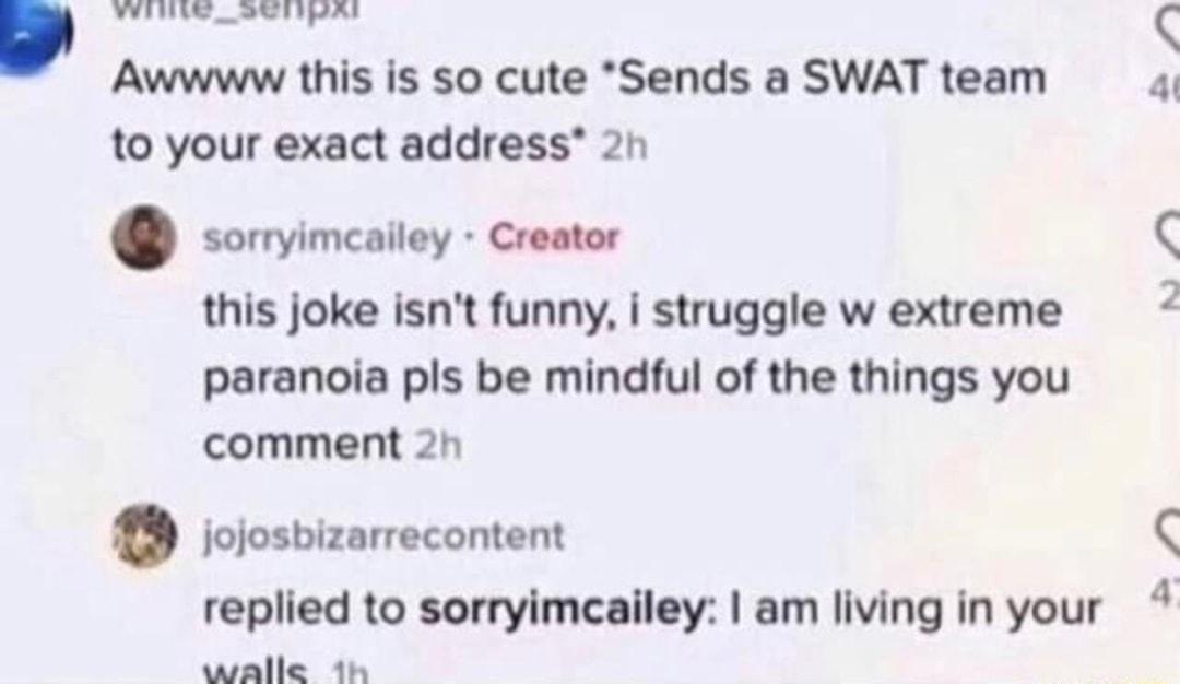 b iyt et T o Awwww this is so cute Sends a SWAT team to your exact address 21 sorrvimcailey Creator this joke isnt funny i struggle w extreme paranoia pls be mindful of the things you comment 2n iciosbizarrecontent replied to sorryimcailey am living in your aaalle 4