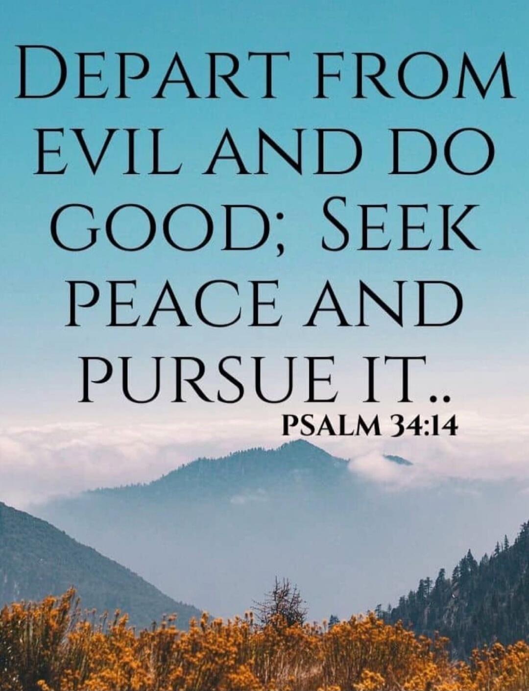 DEPART FROM EVIL AND DO GOOD; SEEK PEACE AND PURSUE IT.. PSALM 34:14