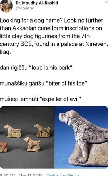 Dr Moudhy Al Rashid v Moudhy Looking for a dog name Look no further than Akkadian cuneiform inscriptions on ittle clay dog figurines from the 7th century BCE found in a palace at Nineveh Iraq dan rigisu loud is his bark munassiku garisu biter of his foe musesi lemnati expeller of evil I T T e