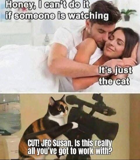 Honey, I can't do it if someone is watching
It's just the cat
CUT! JFC Susan. Is this really all you've got to work with?