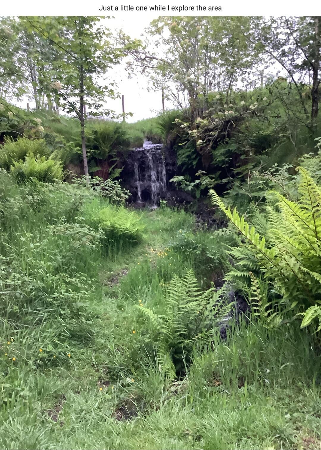 Just a little one while I explore the area