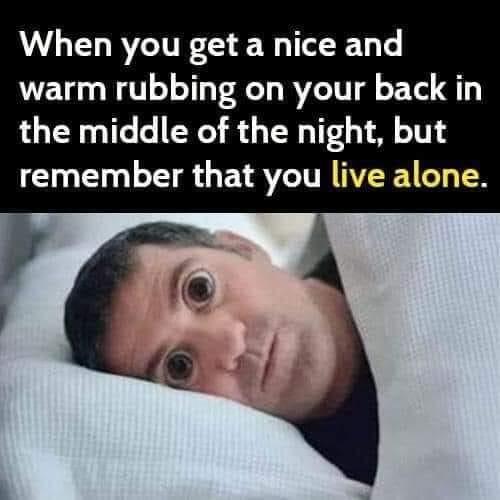 When you get a nice and warm rubbing on your back in the middle of the night but remember that you live alone