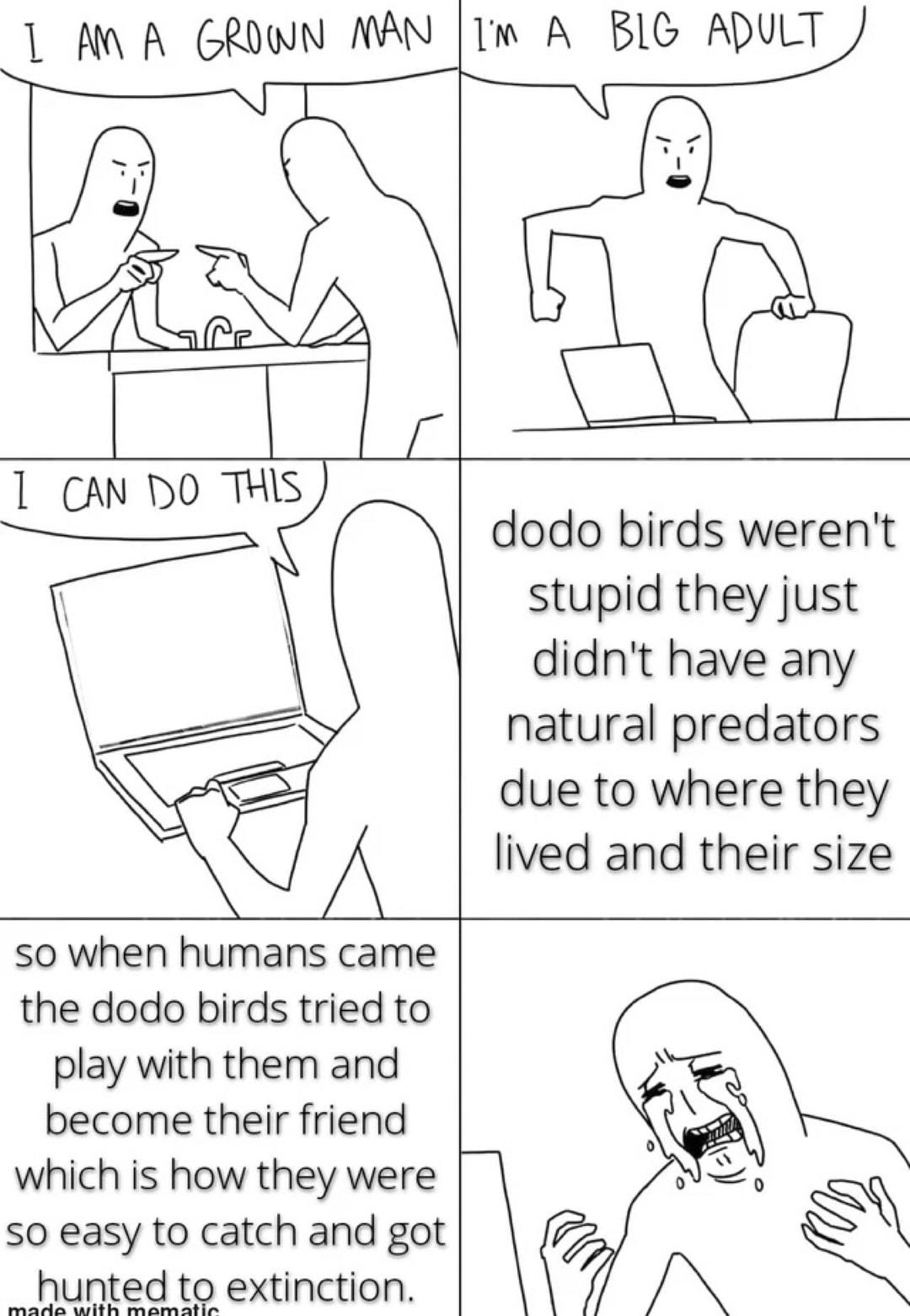 1 M0 A GROWN NAN w AN L O dodo birds werent stupid they just didnt have any natural predators Y due to where they A lived and their size so when humans came the dodo birds tried to play with them and become their friend which is how they were so easy to catch and got hunted to extinction made with mam