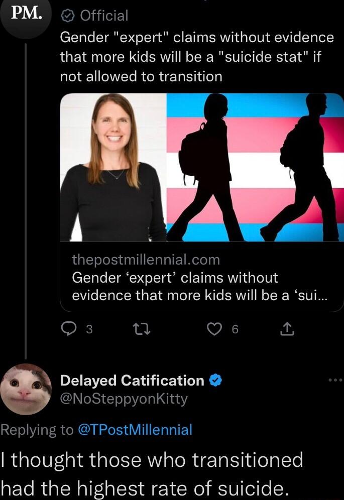 PM Official Gender expert claims without evidence that more kids will be a suicide stat if I CIVELRGRIEN NI il QUEIR I ERLIETRT Gender expert claims without evidence that more kids will be a sui n Qs Delayed Catification NoSteppyonKitty Replying to TPostMillennial thought those who transitioned had the highest rate of suicide