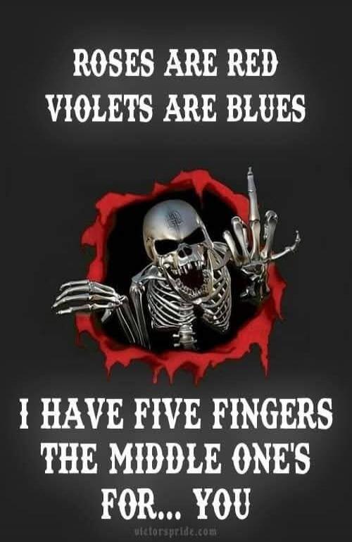 Roses are red, violets are blues. I have five fingers, the middle one's for... you.