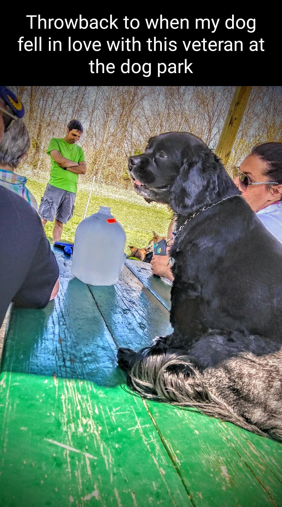 Throwback to when my dog fell in love with this veteran at the dog park