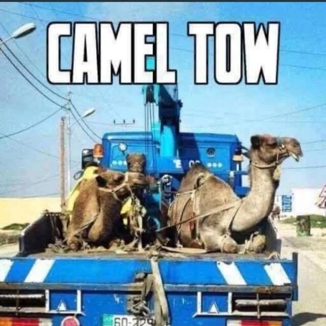 CAMEL TOW