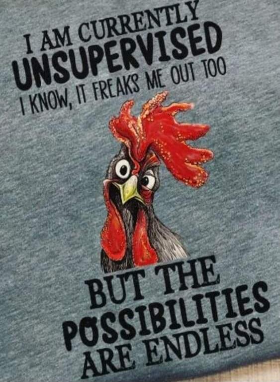 I AM CURRENTLY UNSUPERVISED I KNOW, IT FREAKS ME OUT TOO BUT THE POSSIBILITIES ARE ENDLESS