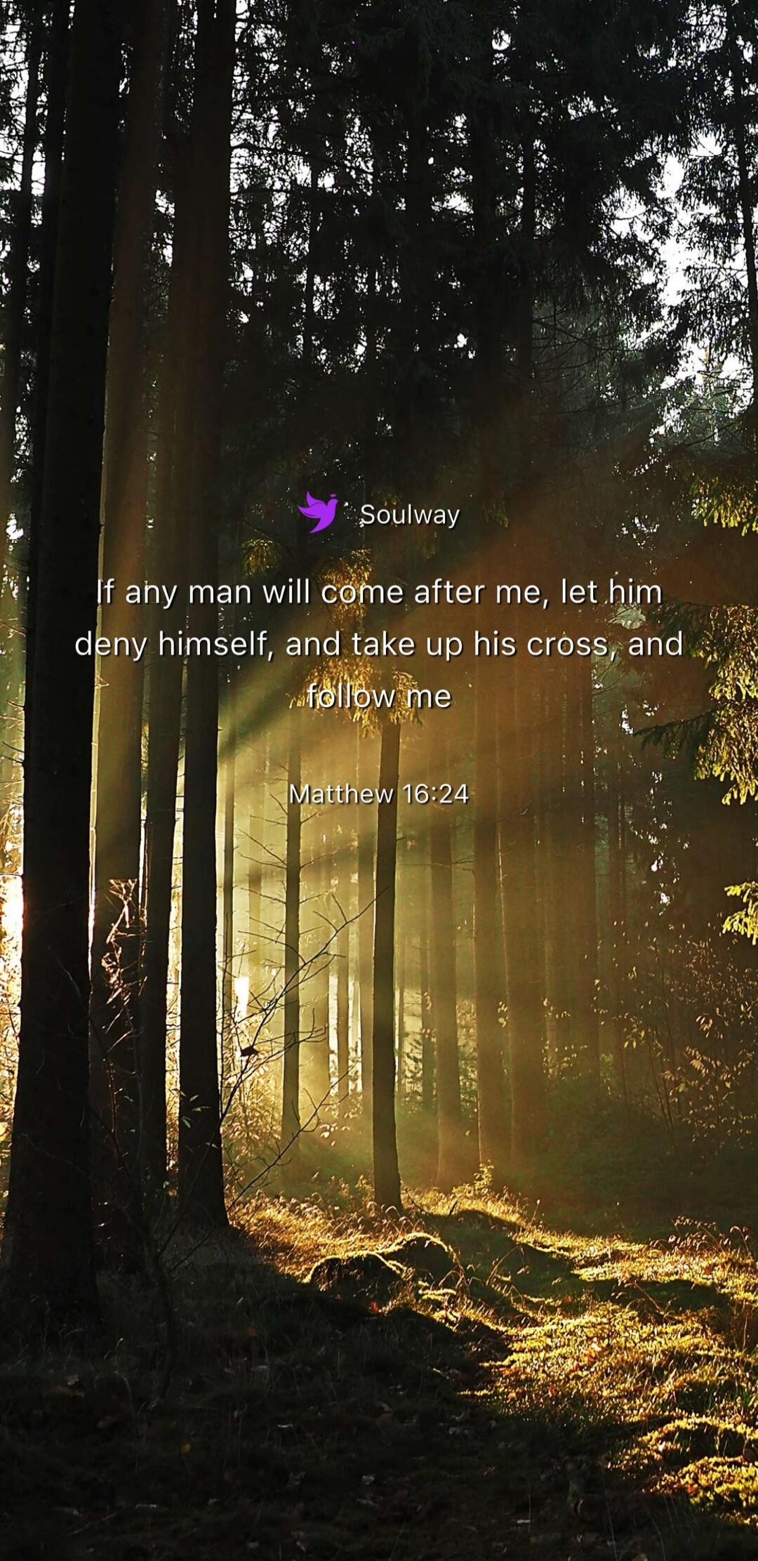 Soulway If any man will come after me, let him deny himself, and take up his cross, and follow me Matthew 16:24