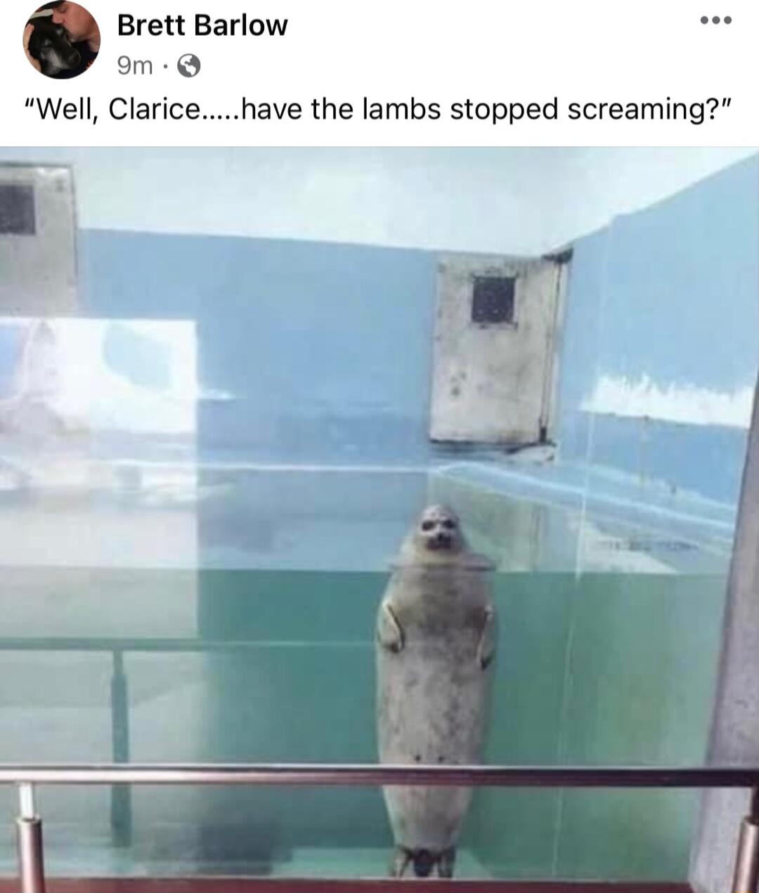 Brett Barlow am Q Well Claricehave the lambs stopped screaming