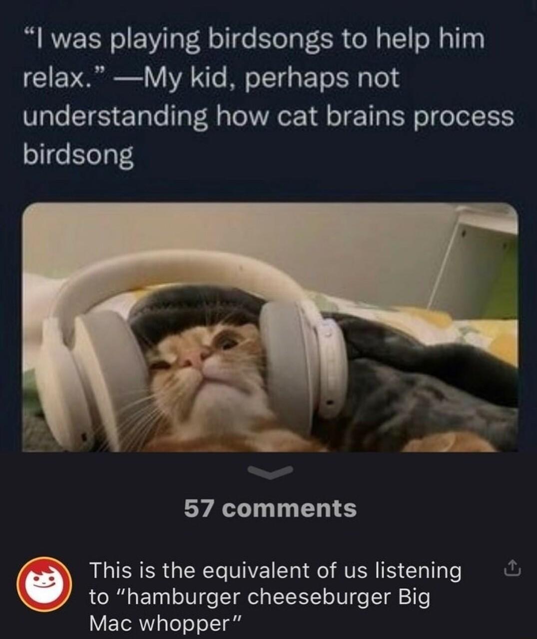 l was playing birdsongs to help him CIEVRE VIR Te BT ETo R o 4 understanding how cat brains process birdsong 57 comments LG ER GERCGVIVEN LI AV T Tl e ful to hamburger cheeseburger Big Mac whopper