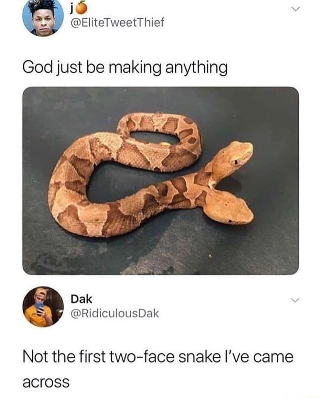 o EliteTweetThief God just be making anything Dak RidiculousDak Not the first two face snake Ive came across