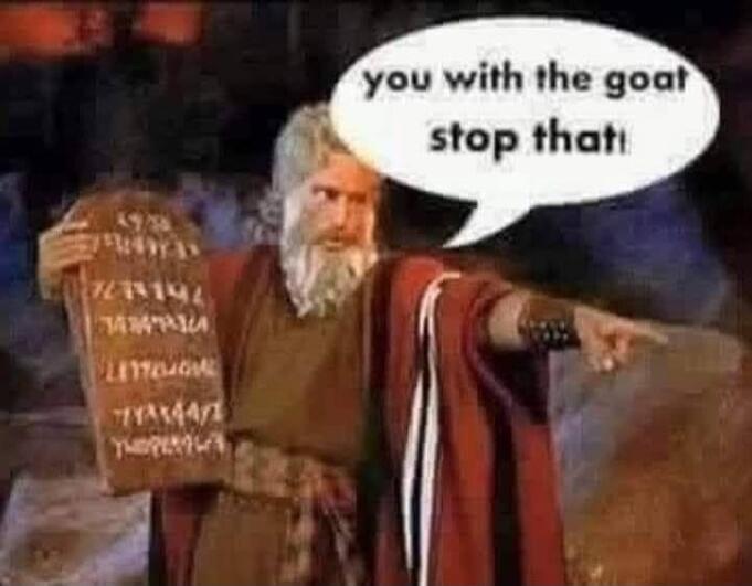you with the goat stop that!