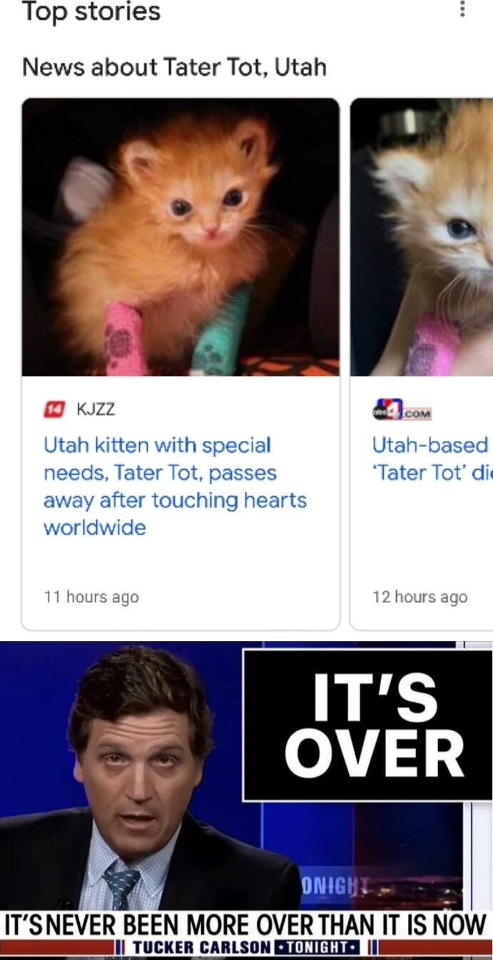 Top stories News about Tater Tot Utah kizz eow Utah kitten with special Utah based needs Tater Tot passes Tater Tot di away after touching hearts worldwide ITSNEVE BEEN MORE OVER THAN IT IS NOW I TUCKER CARLSO T T