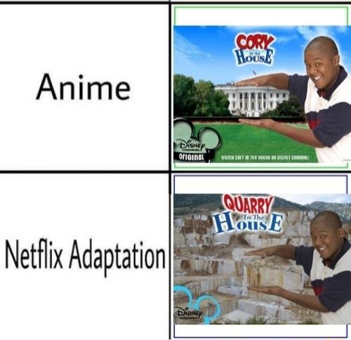 Netflix Adaptation