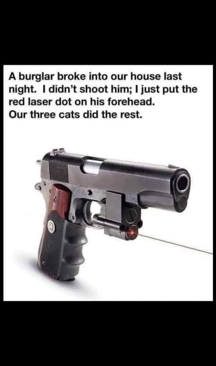 A burglar broke into our house last night. I didn't shoot him; I just put the red laser dot on his forehead. Our three cats did the rest.