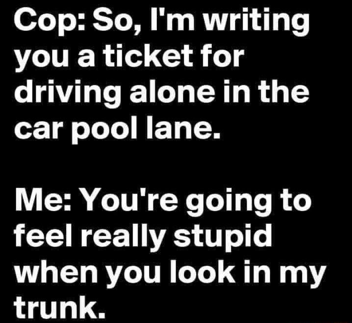 Cop So Im writing you a ticket for driving alone in the car pool lane Me Youre going to feel really stupid when you look in my L 18