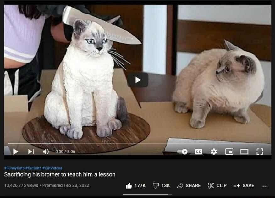 Br oo b Sacrficing e brther 1 teach himalesson Dk pewe Keow s