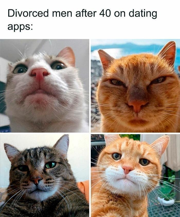 Divorced men after 40 on dating apps