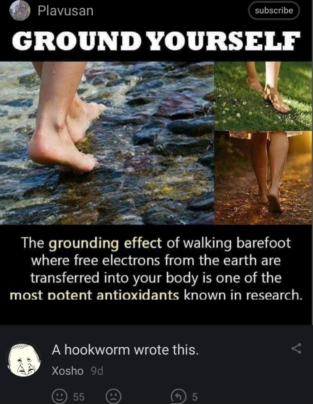 JEVIEED subscribe GROUND YOURSELF 5T M TS g The grounding effect of walking barefoot where free electrons from the earth are transferred into your body is one of the most potent antioxidants known in research Q A hookworm wrote this Xosho 9d Ol o6