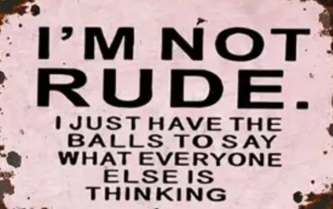 I'M NOT RUDE. I JUST HAVE THE BALLS TO SAY WHATEVER EVERYONE ELSE IS THINKING