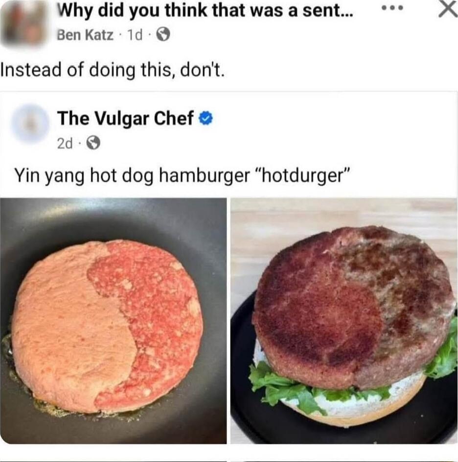 Why did you think that was a sent... Instead of doing this, don't. The Vulgar Chef Yin yang hot dog hamburger “hotdurger”