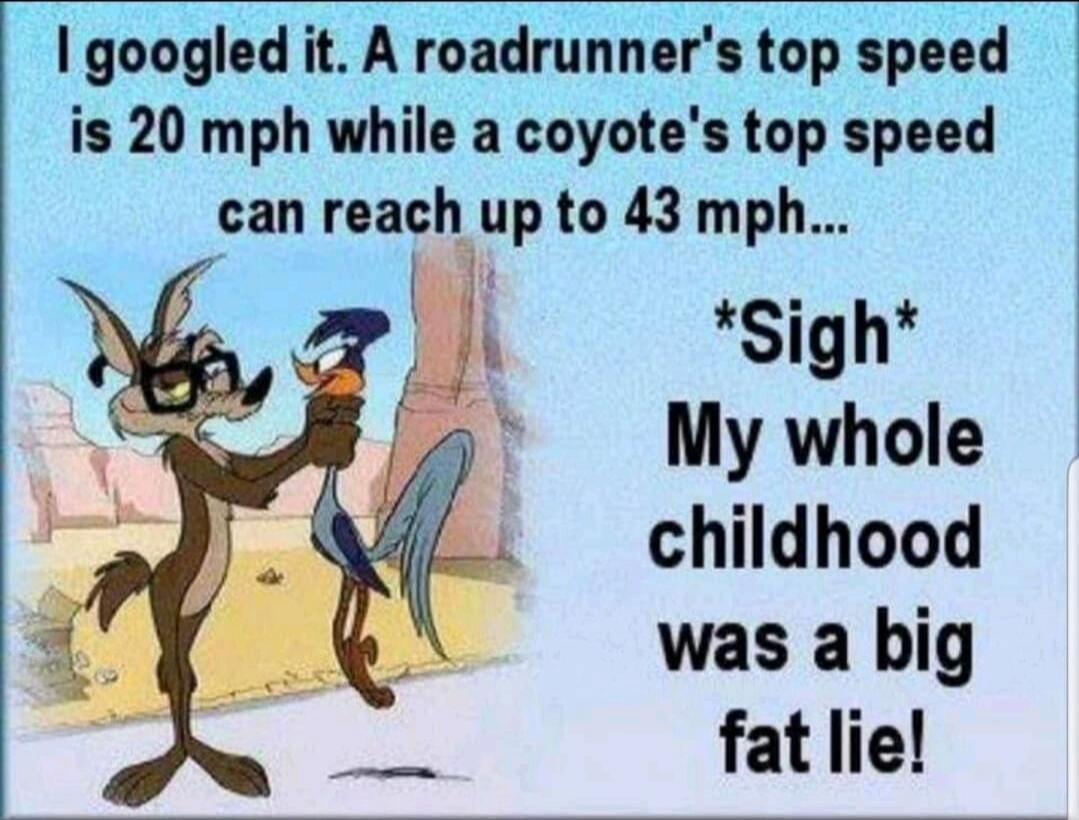 I googled it. A roadrunner's top speed is 20 mph while a coyote's top speed can reach up to 43 mph... *Sigh* My whole childhood was a big fat lie!