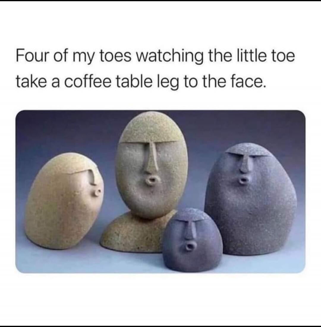 Four of my toes watching the little toe take a coffee table leg to the face.