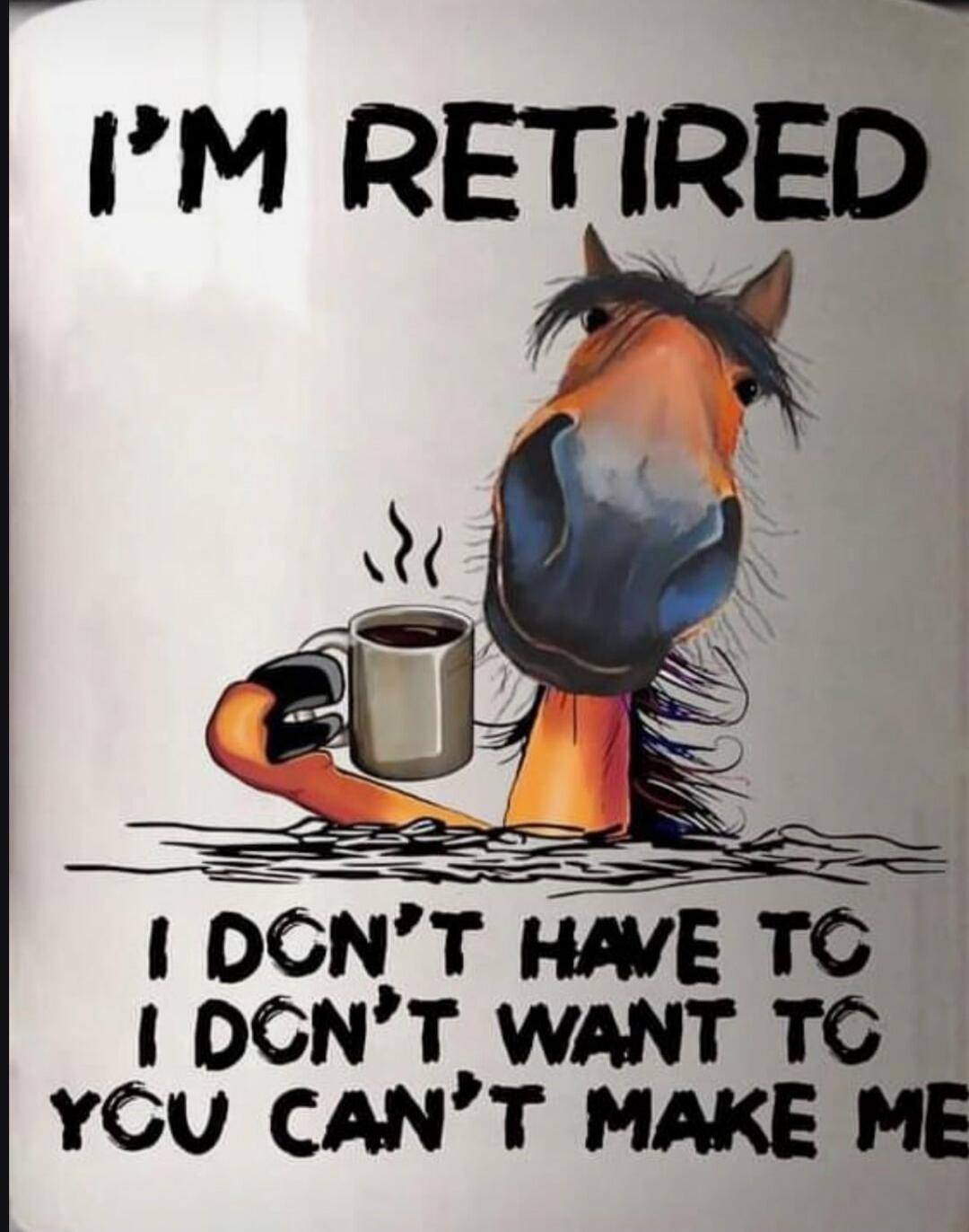 I'M RETIRED I DON'T HAVE TO I DON'T WANT TO YOU CAN'T MAKE ME
