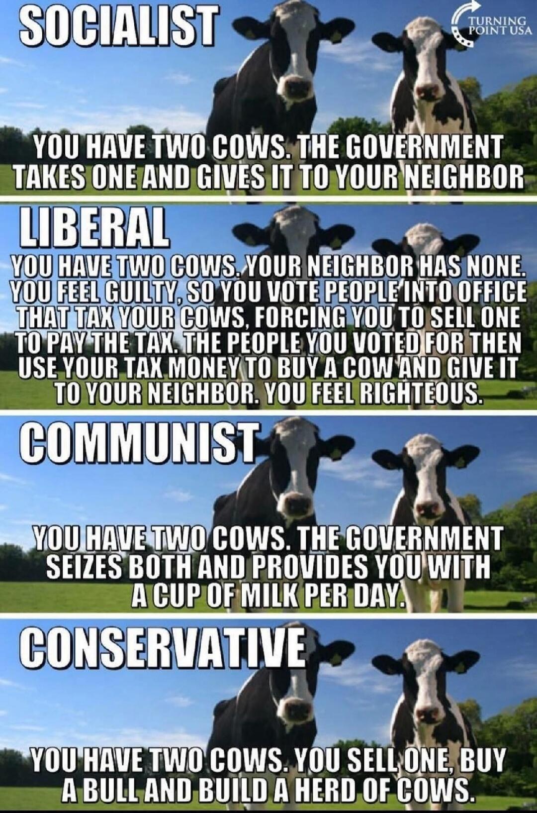 SOCIALIST
YOU HAVE TWO COWS. THE GOVERNMENT TAKES ONE AND GIVES IT TO YOUR NEIGHBOR

LIBERAL
YOU HAVE TWO COWS. YOUR NEIGHBOR HAS NONE. YOU FEEL GUILTY, SO YOU VOTE PEOPLE INTO OFFICE THAT TAX YOUR COWS, FORCING YOU TO SELL ONE TO PAY THE TAX. THE PEOPLE YOU VOTED FOR THEN USE YOUR TAX MONEY TO BUY A COW AND GIVE IT TO YOUR NEIGHBOR. YOU FEEL RIGHT