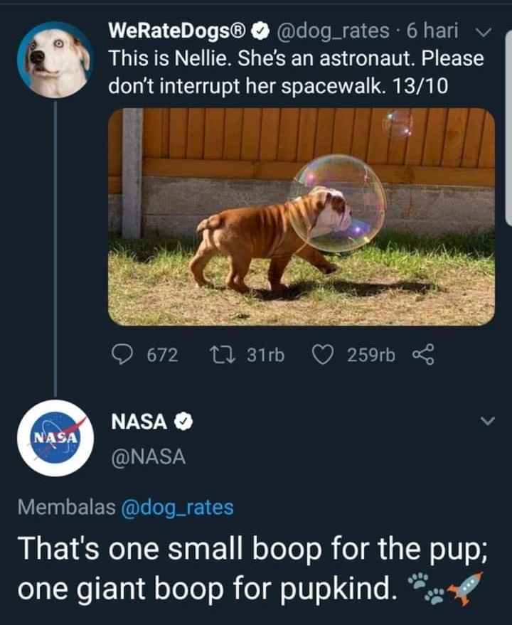 WeRateDogs dog_rates 6 hari This is Nellie Shes an astronaut Please dont interrupt her spacewalk 1310 O 672 1 31th Q 259b NASA v NASA Membalas dog_rates LG S Ta SR g 1 WoToTeT o R o g N o U oR one giant boop for pupkind