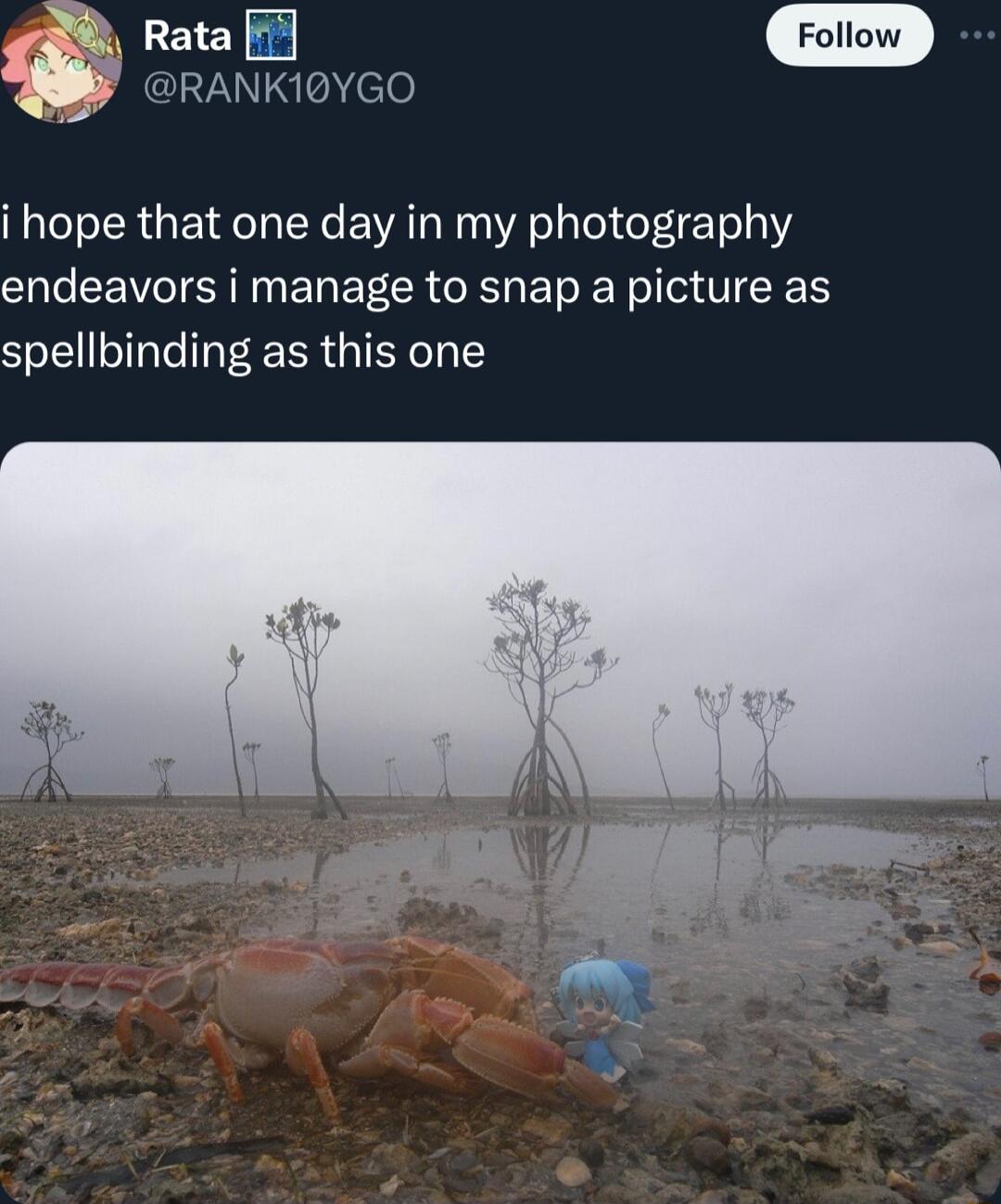 f Rata Follii J l oele i hope that one day in my photography endeavors i manage to snap a picture as spellbinding as this one