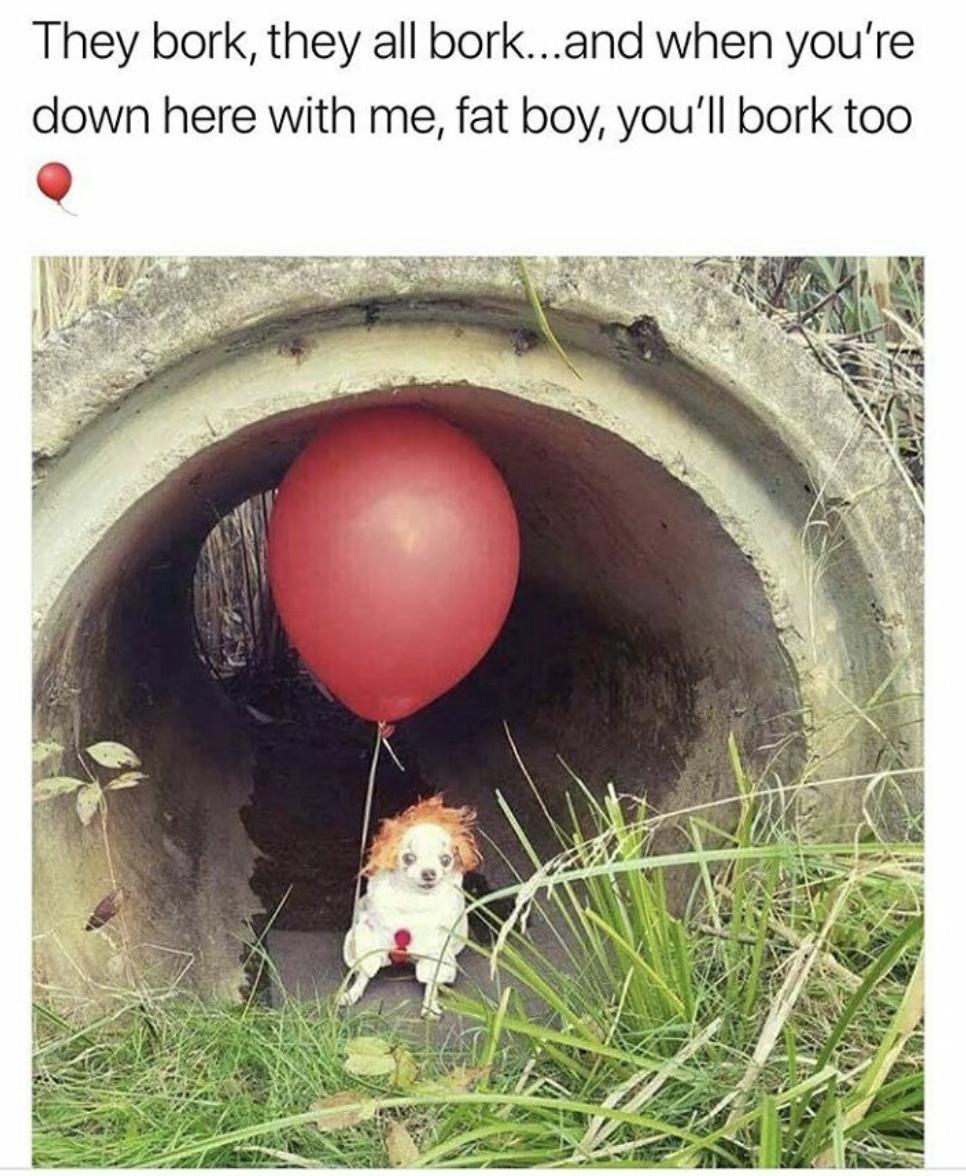 They bork they all borkand when youre down here with me fat boy youll bork too