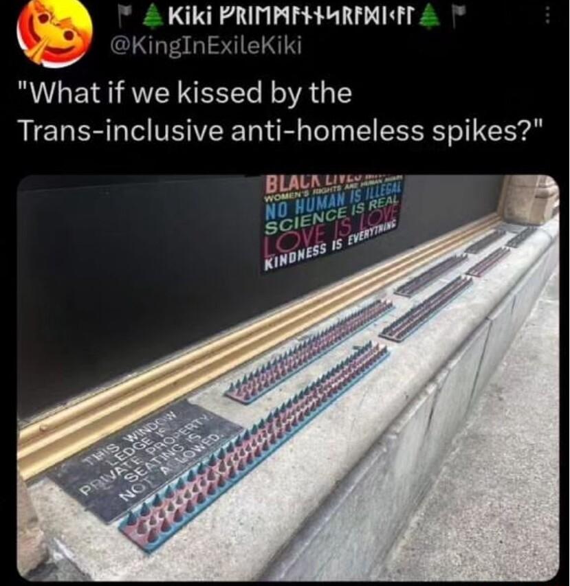 RIFMPFUREMICET Kil What if we kissed by the Trans inclusive anti homeless spikes