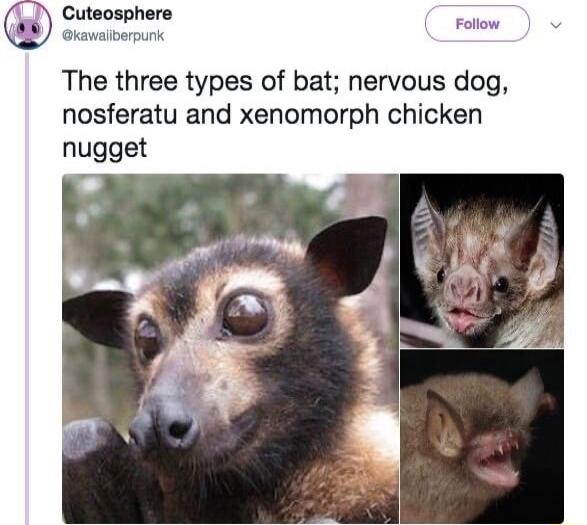 Cuteosphere ak The three types of bat nervous dog nosferatu and xenomorph chicken nugget