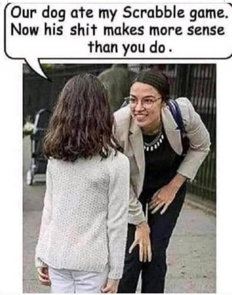 Our dog ate my Scrabble game. Now his shit makes more sense than you do.