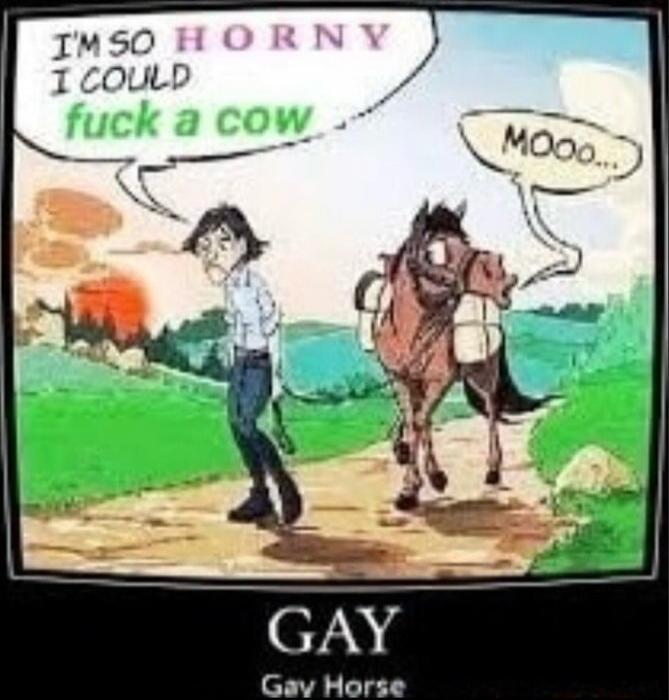 I'M SO HORNY I COULD fuck a cow. MOOO... GAY. Gay Horse.