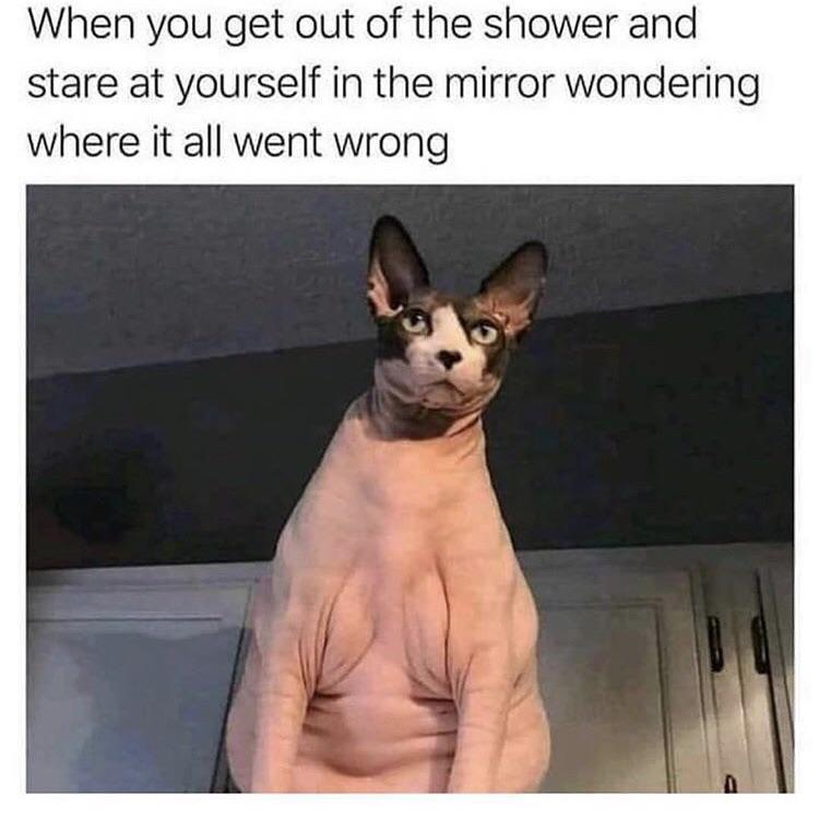 When you get out of the shower and stare at yourself in the mirror wondering where it all went wrong