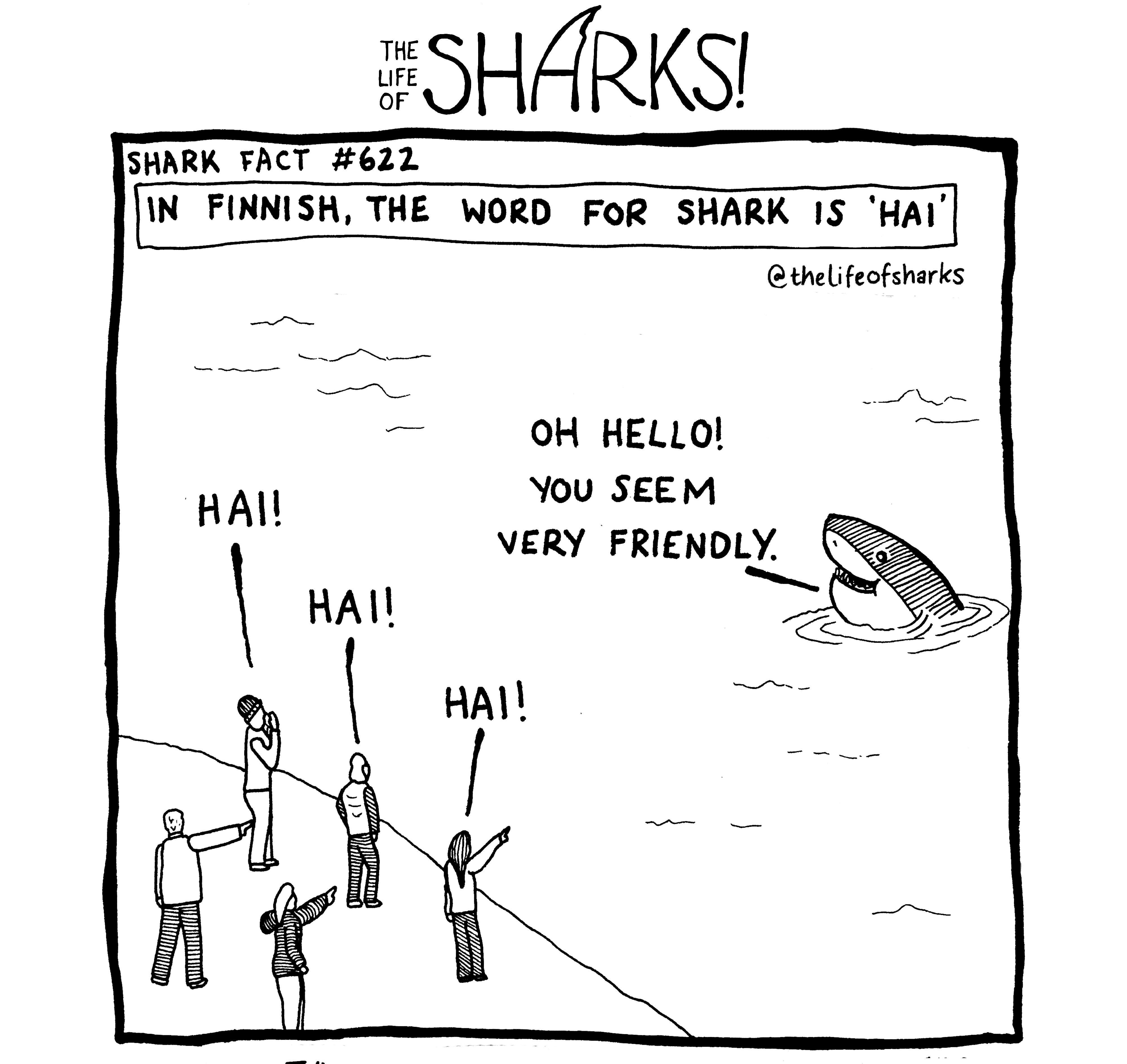 SHARK FACT 6212 IN FINNISH THE WORD FOR SHARK IS HAI thelifeofsharks OH HELLO YOU SEEM VERY FRIENDLY Y m P77 nunn Lt S By Christian Talbot Uustrated by Sephie Hodge