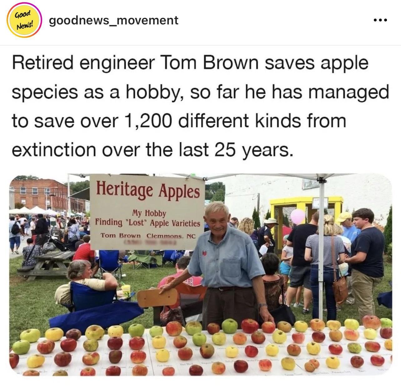 Retired engineer Tom Brown saves apple species as a hobby so far he has managed to save over 1200 different kinds from extinction over the last 25 years